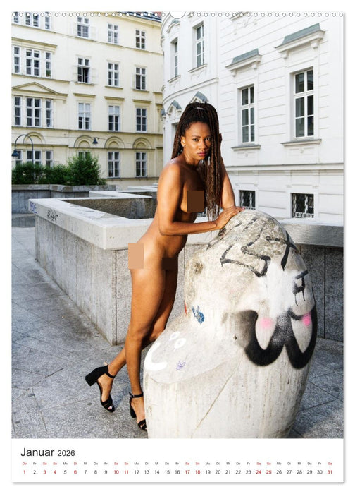 Erotik Tour Vienna (CALVENDO Premium Wandkalender 2026)