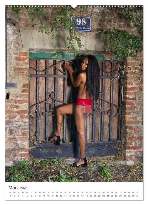 Erotik Tour Vienna (CALVENDO Premium Wandkalender 2026)