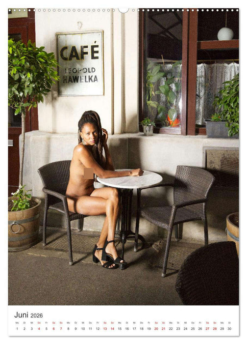 Erotik Tour Vienna (CALVENDO Premium Wandkalender 2026)