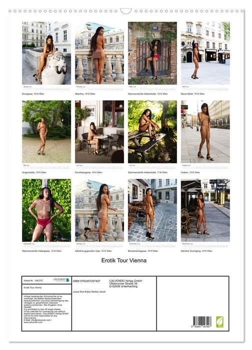 Erotik Tour Vienna (CALVENDO Wandkalender 2026)