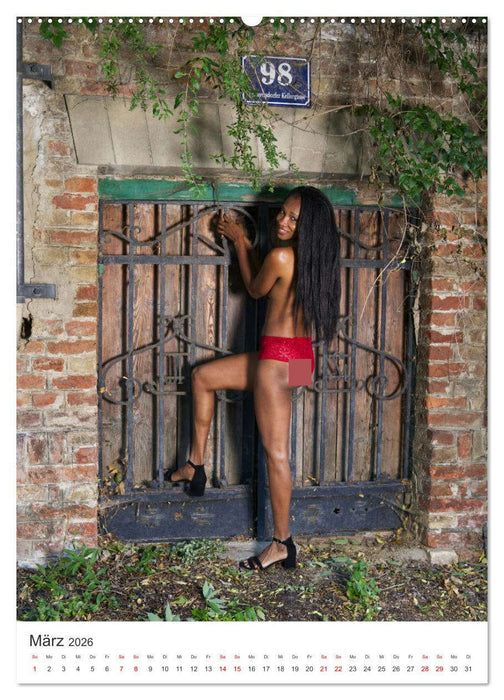 Erotik Tour Vienna (CALVENDO Wandkalender 2026)