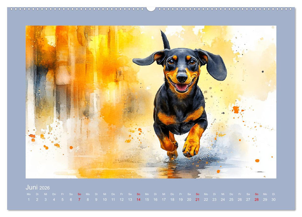 Dackelzauber. Charmante Begleiter im lieblichen Aquarell-Stil (CALVENDO Premium Wandkalender 2026)