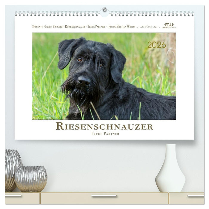 Riesenschnauzer - Treue Partner (CALVENDO Premium Wandkalender 2026)
