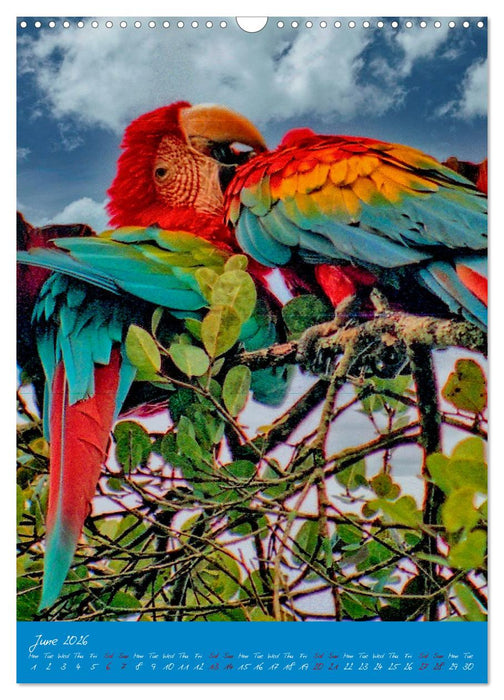 Angel Falls The tallest waterfall in the world (CALVENDO Monthly Calendar 2026)