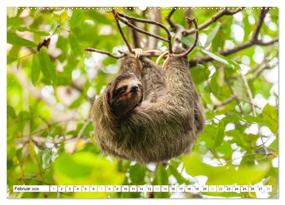 Costa Rica (CALVENDO Premium Wandkalender 2026)