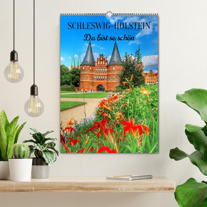 Schleswig-Holstein. Du bist so schön. (CALVENDO Wandkalender 2026)