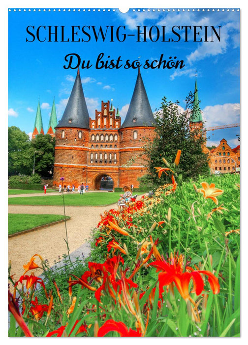 Schleswig-Holstein. Du bist so schön. (CALVENDO Wandkalender 2026)