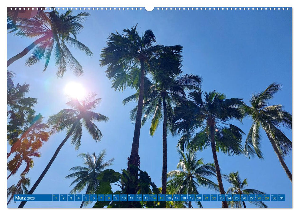 Phi Phi Island – Thailands traumhaftes Paradies (CALVENDO Wandkalender 2026)