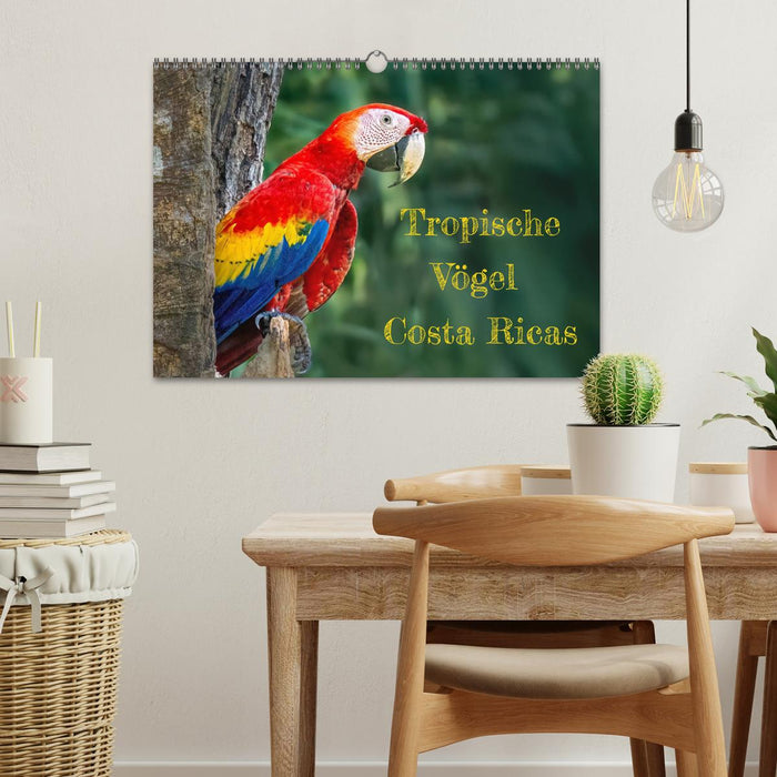 Tropische Vögel Costa Ricas (CALVENDO Wandkalender 2026)