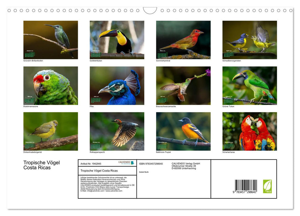 Tropische Vögel Costa Ricas (CALVENDO Wandkalender 2026)
