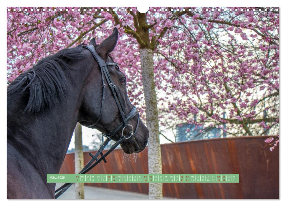 Wolfsburg - einfach tierisch (CALVENDO Wandkalender 2026)