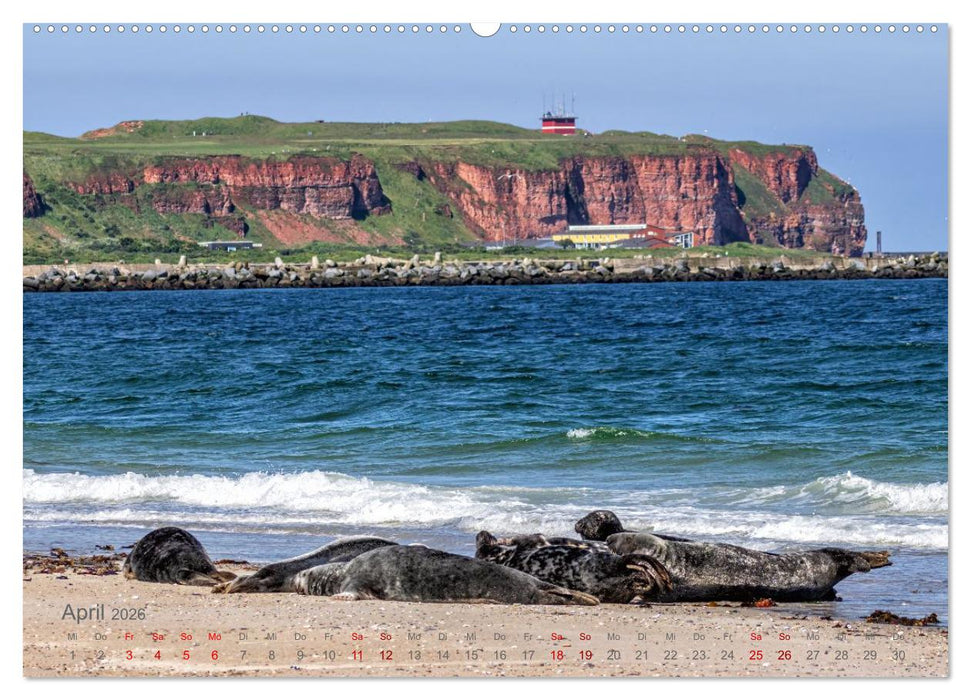 Küstenglück - Ein fotografischer Streifzug entlang der Nordsee (CALVENDO Wandkalender 2026)