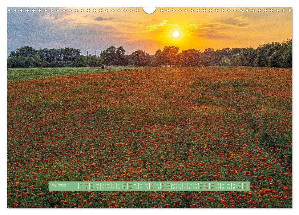 Wolfsburgs schönste Ecken (CALVENDO Wandkalender 2026)