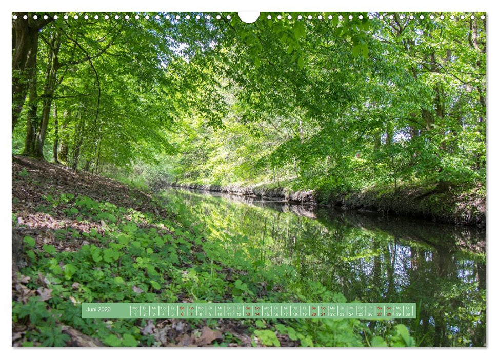 Wolfsburgs schönste Ecken (CALVENDO Wandkalender 2026)