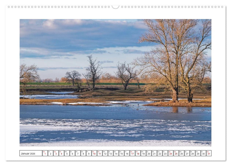 Hansestädte der Altmark (CALVENDO Premium Wandkalender 2026)