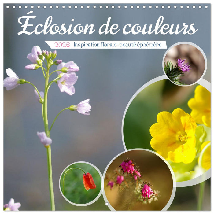 Éclosion de couleurs (CALVENDO Calendrier mensuel 2026)