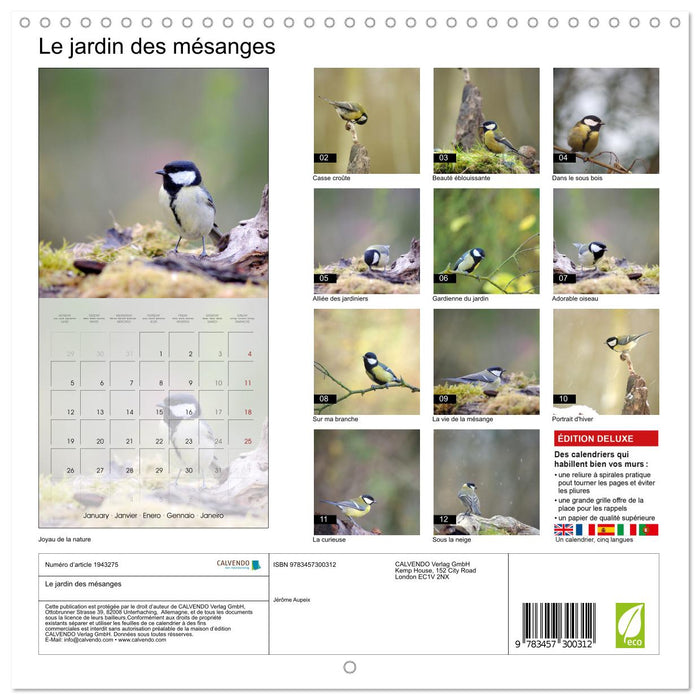 Le jardin des mésanges (CALVENDO Calendrier mensuel 2026)