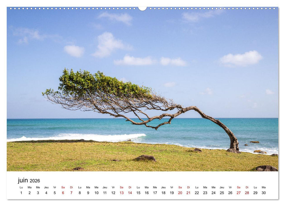 Guadeloupe - Antilles françaises (CALVENDO Calendrier mensuel 2026)