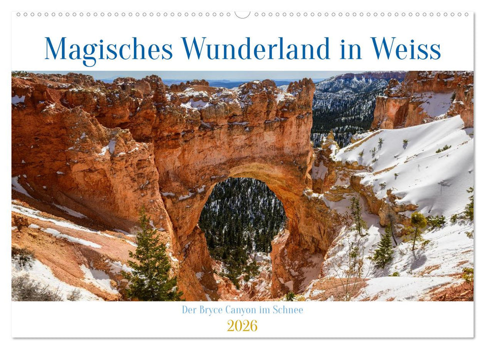 Magisches Wunderland in Weiss (CALVENDO Wandkalender 2026)