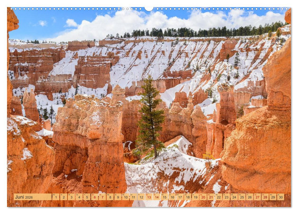 Magisches Wunderland in Weiss (CALVENDO Wandkalender 2026)