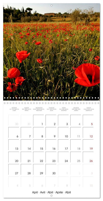 Italy - Tuscany (CALVENDO Monthly Calendar 2026)