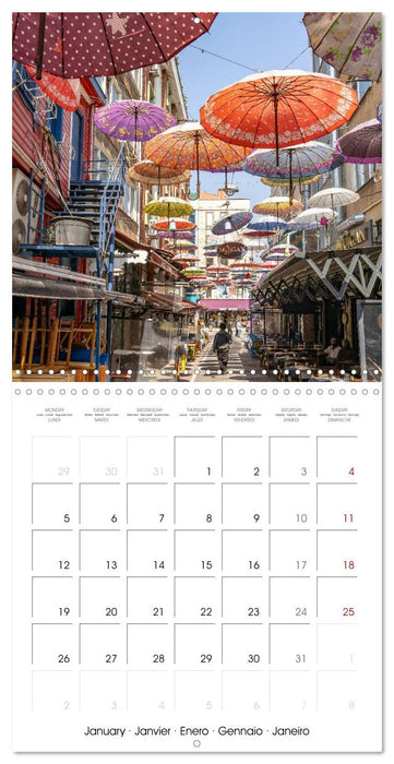 Turkey - Istanbul (CALVENDO Monthly Calendar 2026)