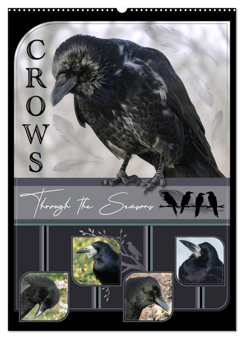 Crows - Through the Seasons (CALVENDO Monthly Calendar 2026)