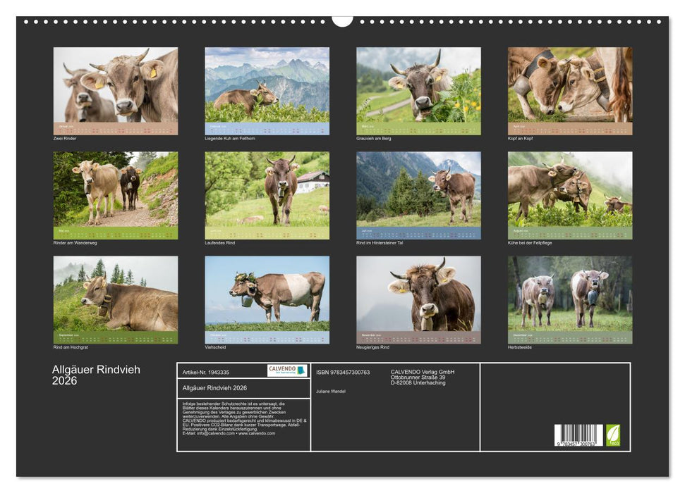 Allgäuer Rindvieh 2026 (CALVENDO Wandkalender 2026)