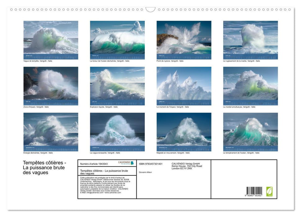 Tempêtes côtières - La puissance brute des vagues (CALVENDO Calendrier mensuel 2026)