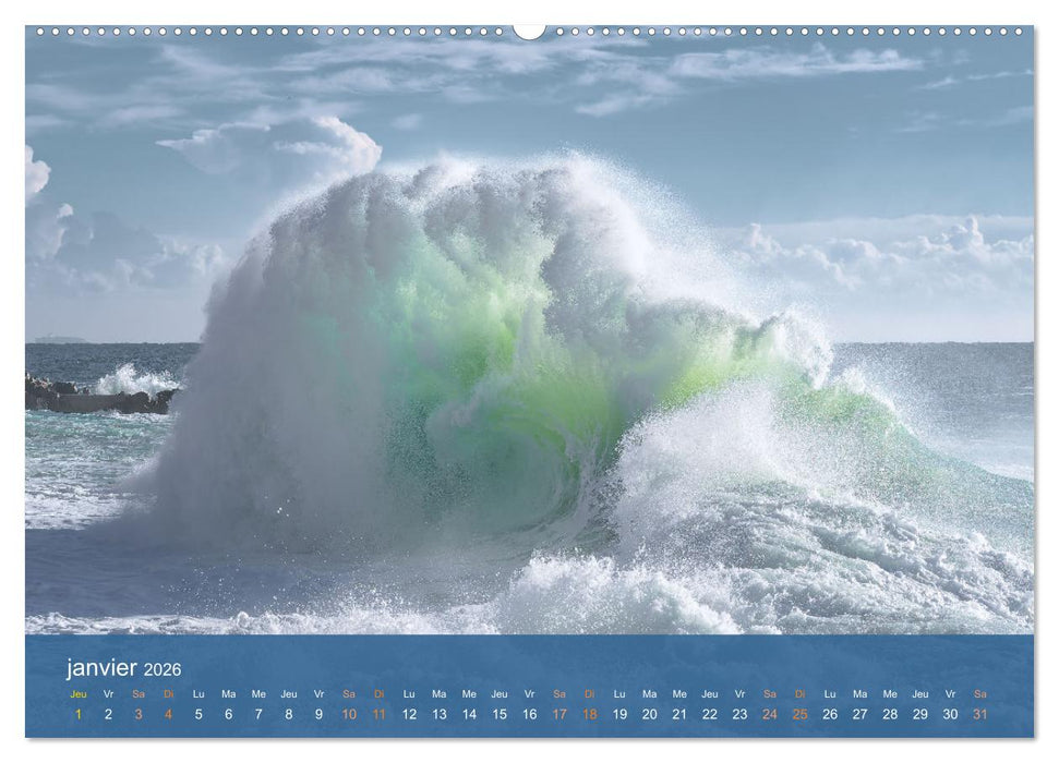 Tempêtes côtières - La puissance brute des vagues (CALVENDO Calendrier mensuel 2026)