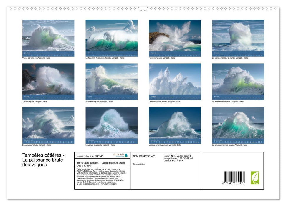 Tempêtes côtières - La puissance brute des vagues (CALVENDO Calendrier supérieur 2026)
