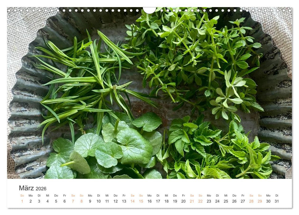 Küchenkalender - lecker durch dieses Jahr (CALVENDO Wandkalender 2026)