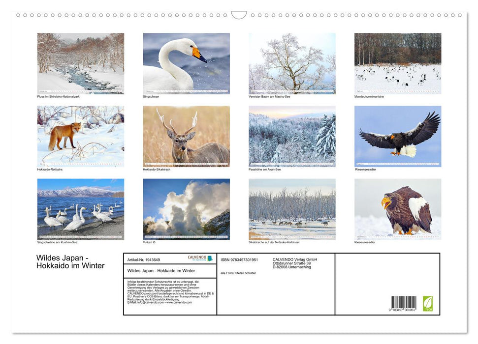 Wildes Japan - Hokkaido im Winter (CALVENDO Wandkalender 2026)