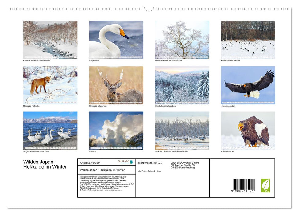 Wildes Japan - Hokkaido im Winter (CALVENDO Premium Wandkalender 2026)