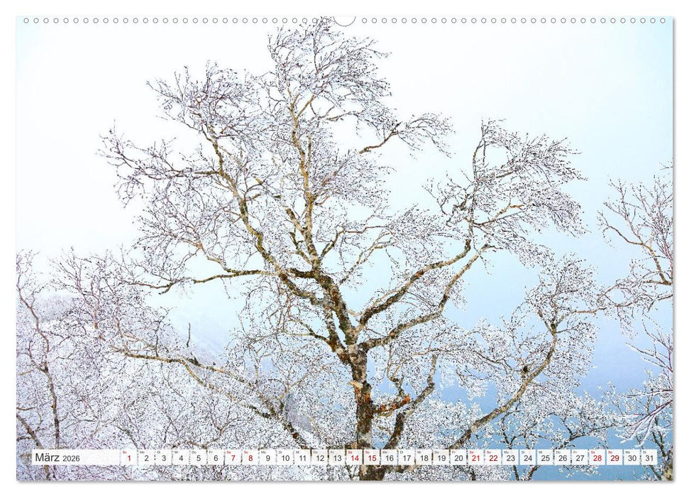 Wildes Japan - Hokkaido im Winter (CALVENDO Premium Wandkalender 2026)