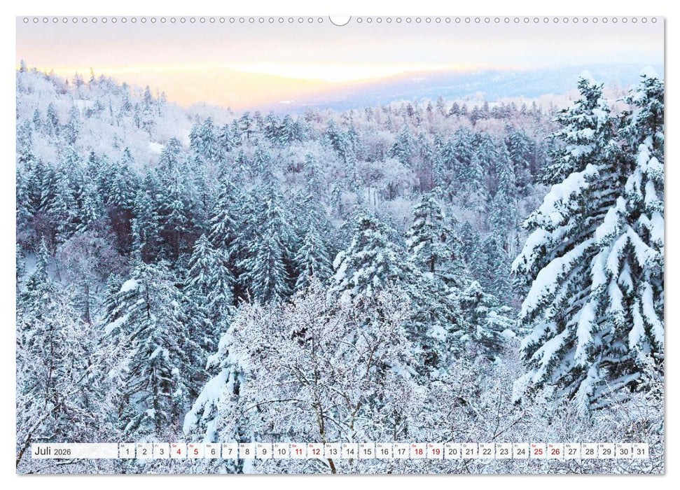 Wildes Japan - Hokkaido im Winter (CALVENDO Premium Wandkalender 2026)