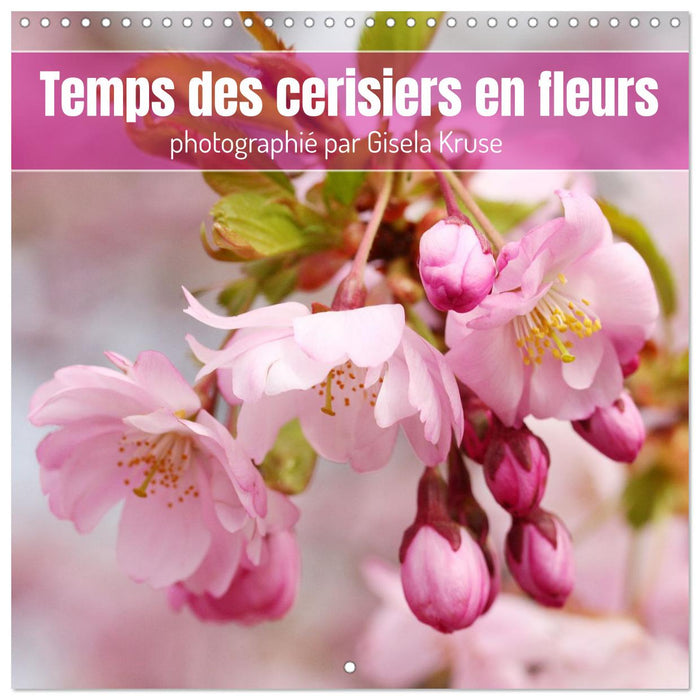 Temps des cerisiers en fleurs (CALVENDO Calendrier mensuel 2026)