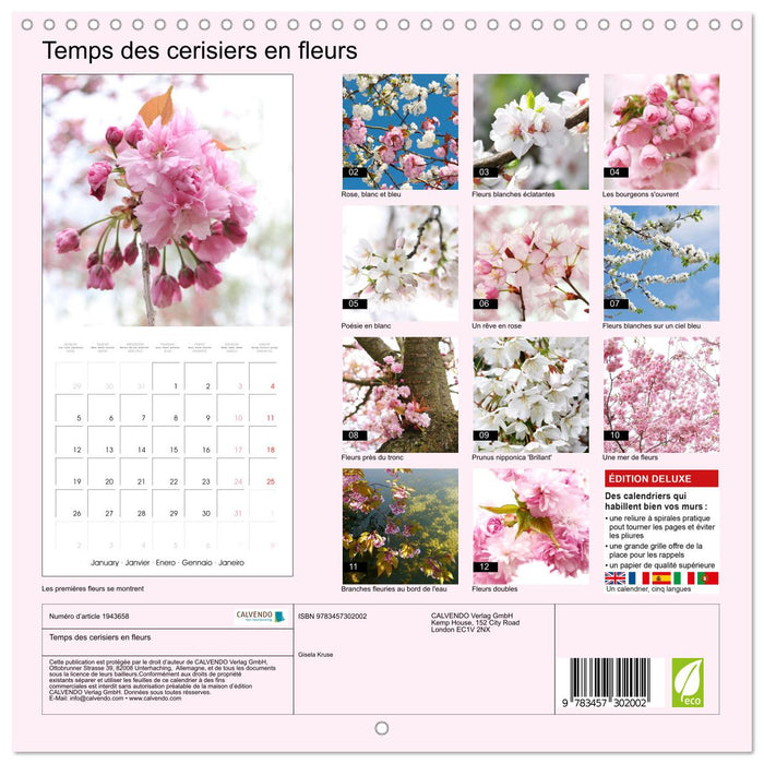Temps des cerisiers en fleurs (CALVENDO Calendrier mensuel 2026)