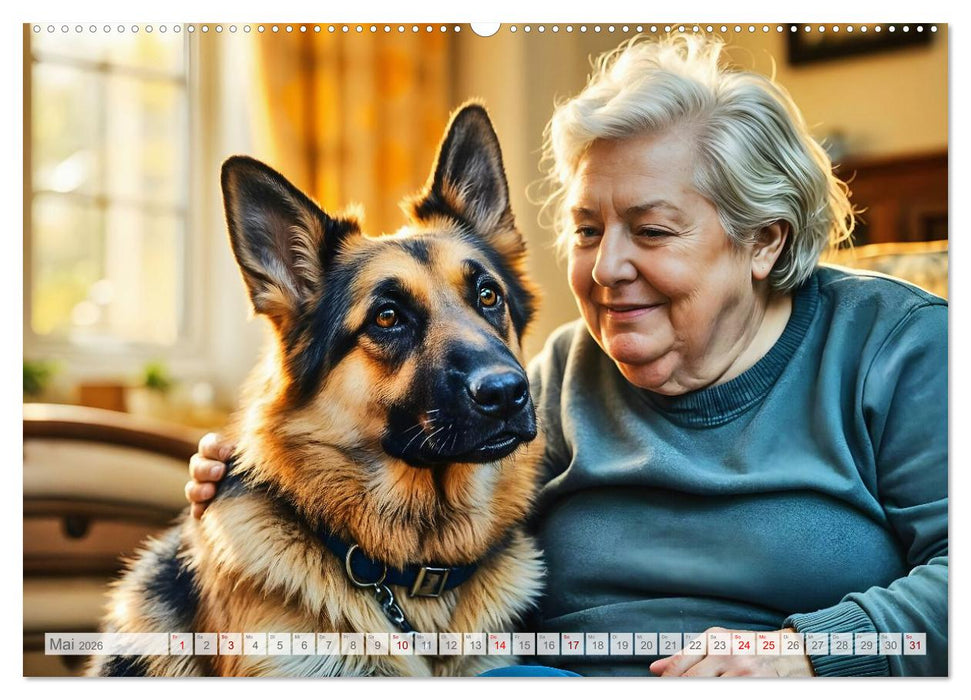 Schäferhund 24/7 - Keine Pause für echte Helden (CALVENDO Wandkalender 2026)