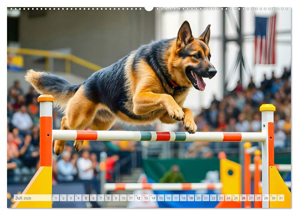 Schäferhund 24/7 - Keine Pause für echte Helden (CALVENDO Premium Wandkalender 2026)