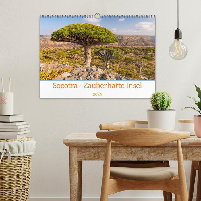 Socotra - Zauberhafte Insel (CALVENDO Wandkalender 2026)