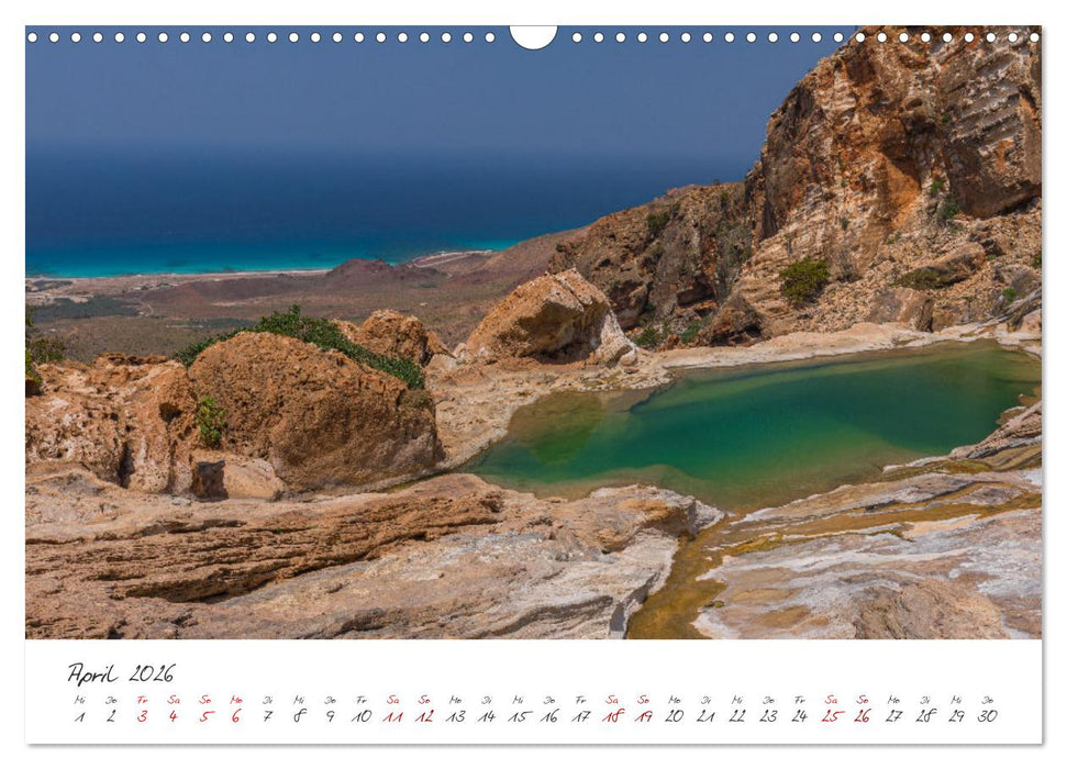 Socotra - Zauberhafte Insel (CALVENDO Wandkalender 2026)