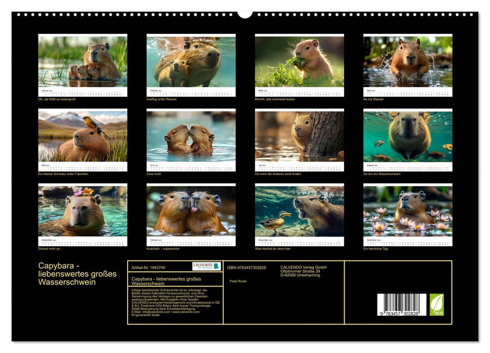 Capybara - liebenswertes großes Wasserschwein (CALVENDO Premium Wandkalender 2026)