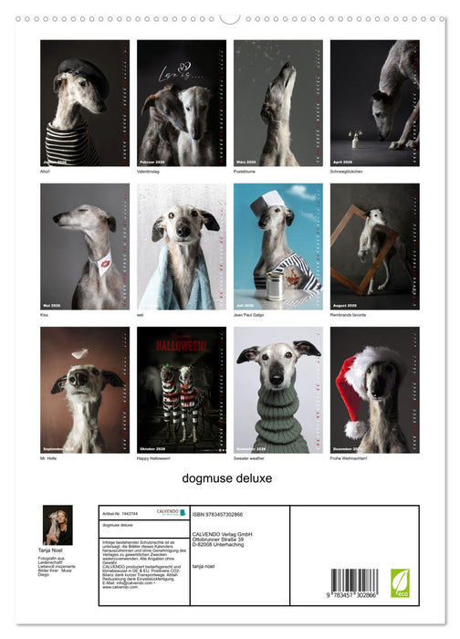 dogmuse deluxe (CALVENDO Premium Wandkalender 2026)