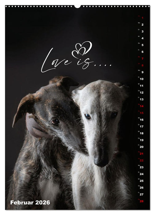 dogmuse deluxe (CALVENDO Premium Wandkalender 2026)