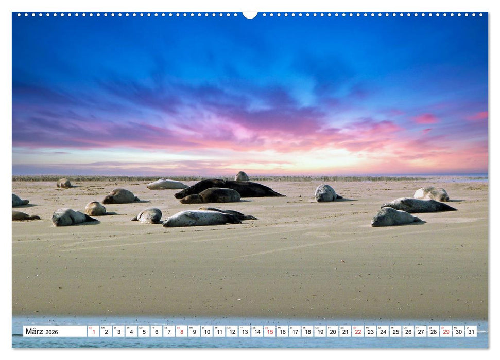 Verliebt in Borkum (CALVENDO Premium Wandkalender 2026)