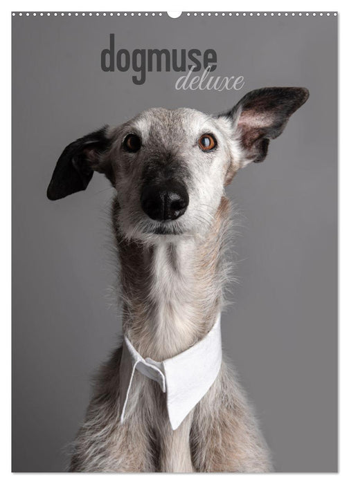 dogmuse deluxe (CALVENDO Wandkalender 2026)