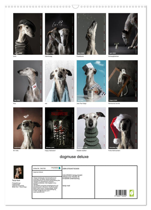 dogmuse deluxe (CALVENDO Wandkalender 2026)
