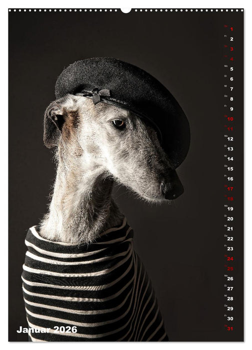 dogmuse deluxe (CALVENDO Wandkalender 2026)