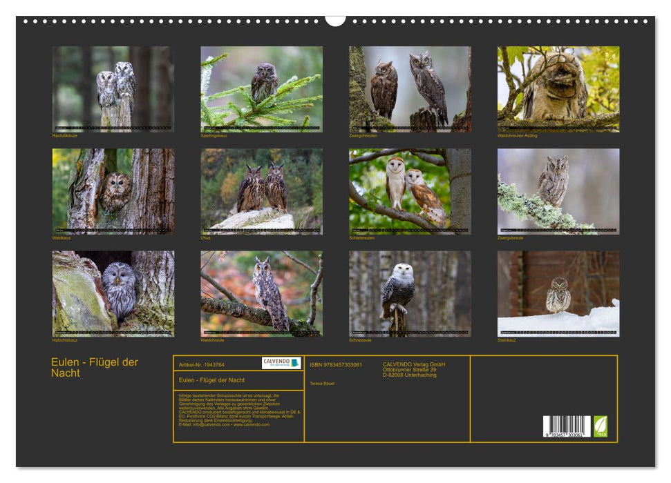 Eulen - Flügel der Nacht (CALVENDO Wandkalender 2026)
